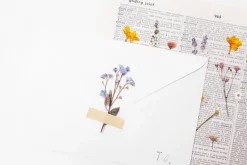 Freesia Pressed Flower Sticker