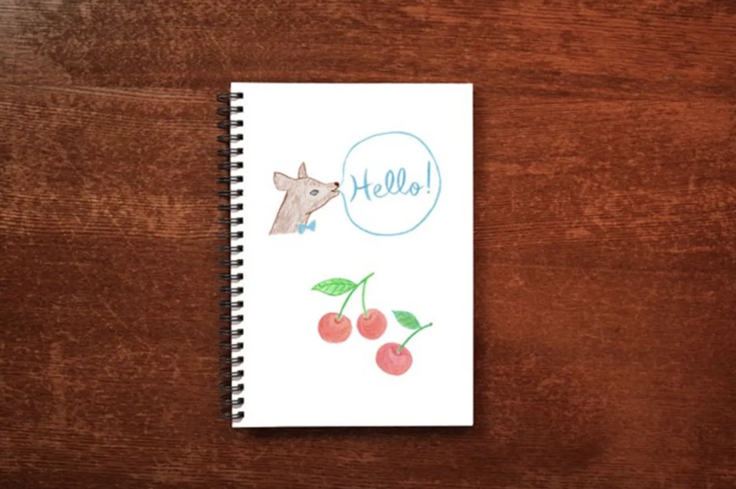 French Blue Drawing Notebook