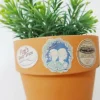 French Story Deco Sticker