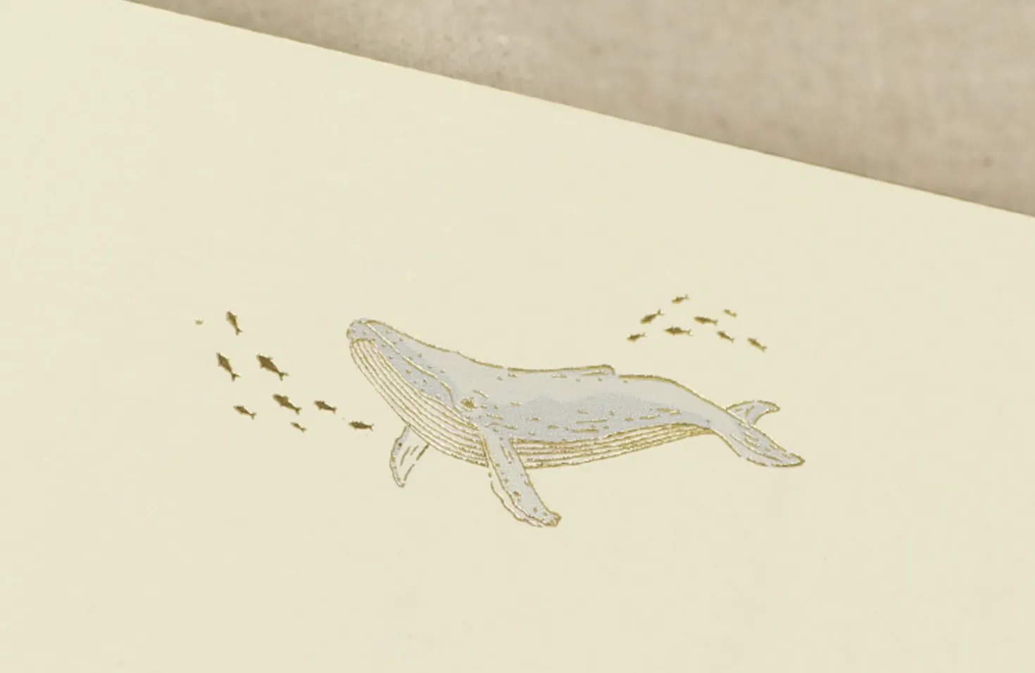 From the Sea Letter Set