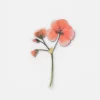 Geranium Pressed Flower Sticker
