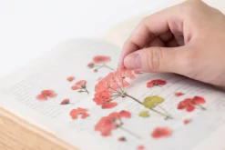 Geranium Pressed Flower Sticker