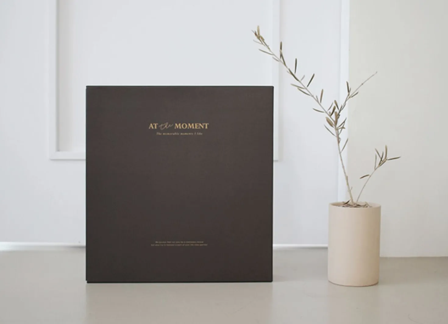 Giant At the Moment 4 Ring Binder Photo Album