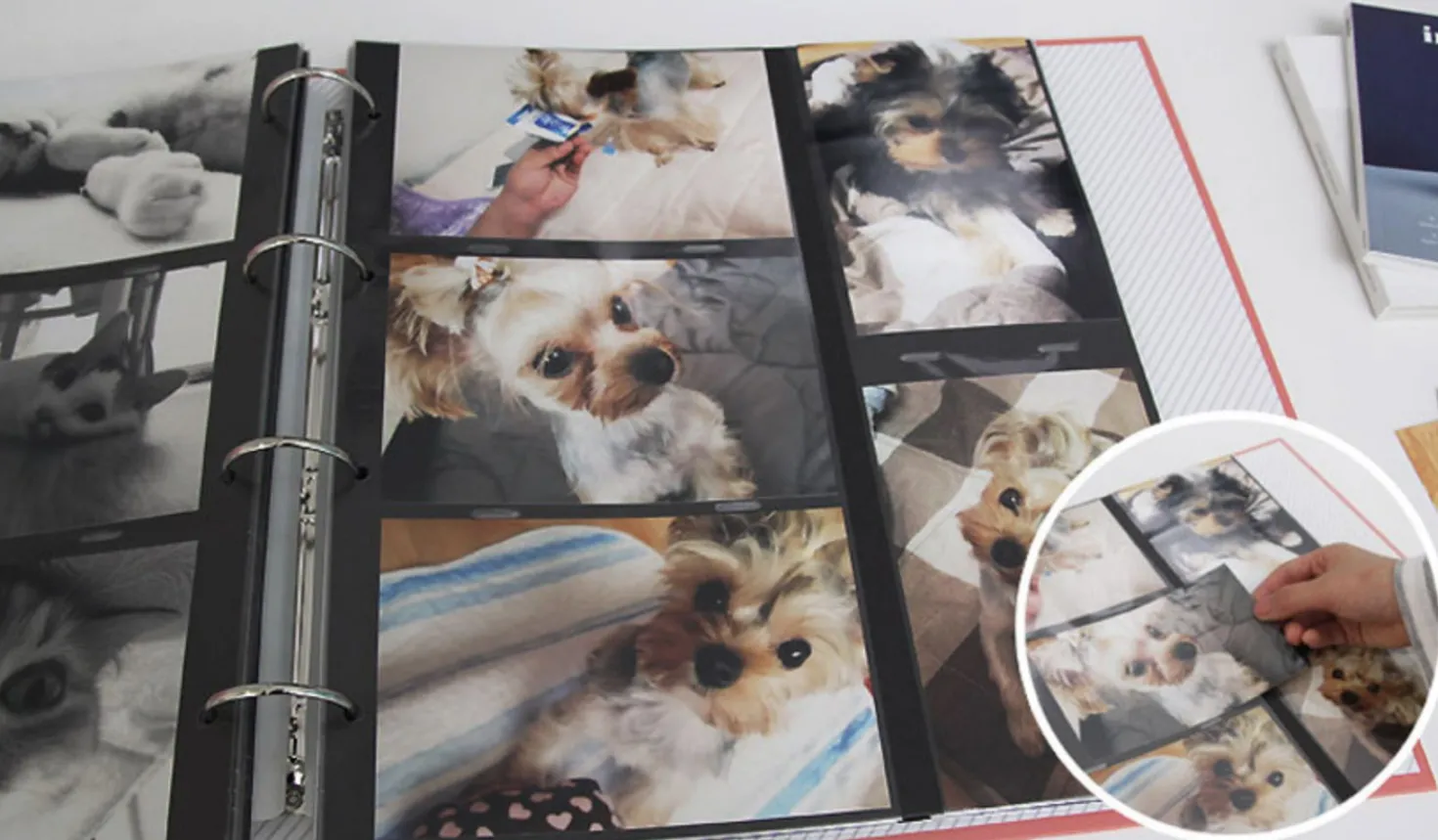 Giant Plain 4 Ring Binder Photo Album