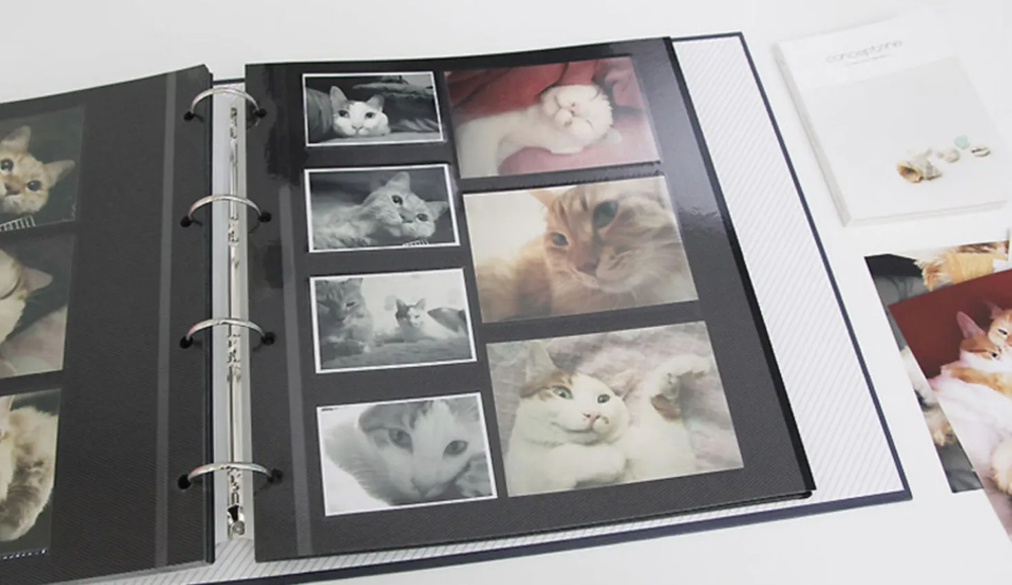 Giant Plain 4 Ring Binder Photo Album
