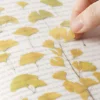 Ginkgo Pressed Flower Sticker