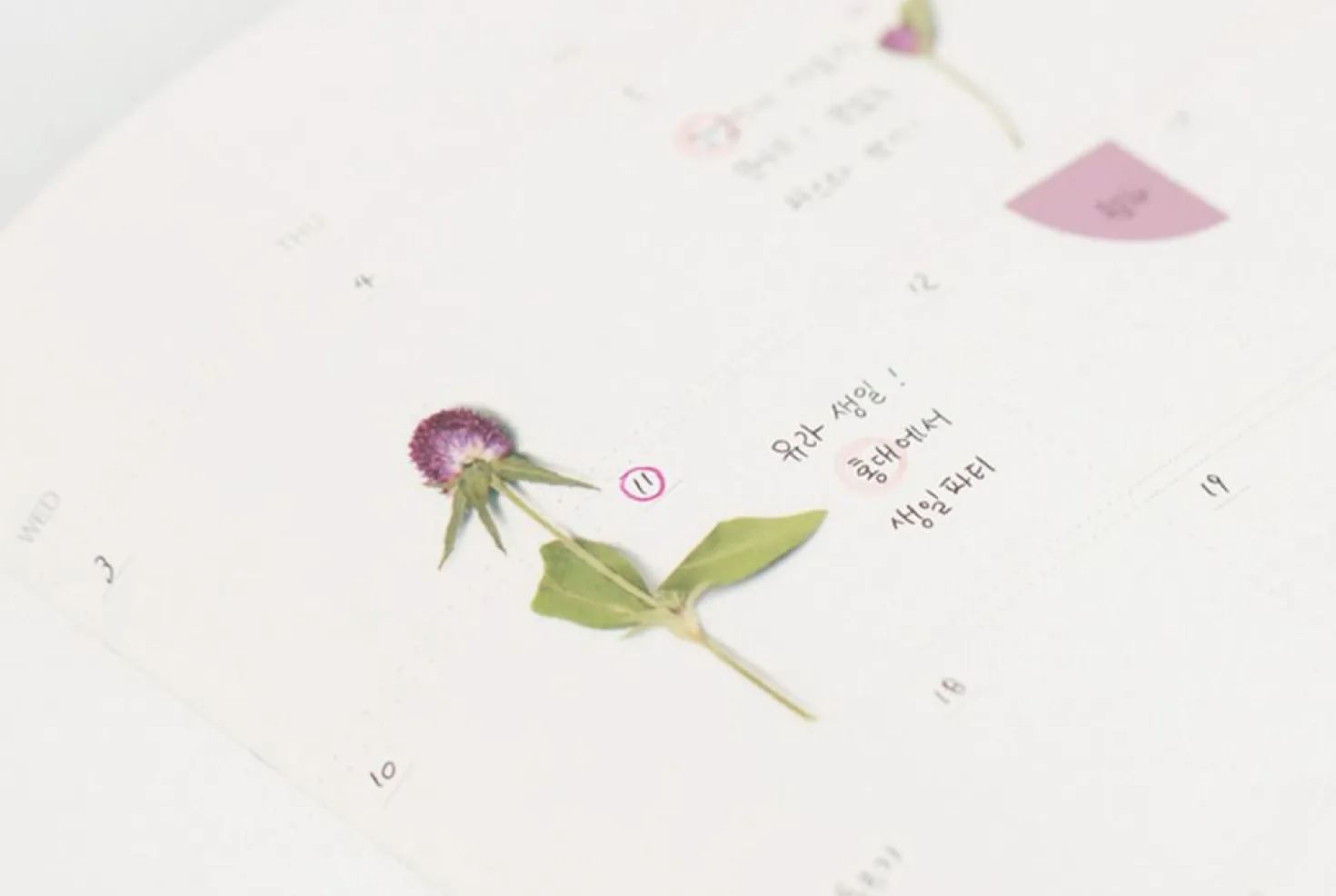 Globe Amaranth Pressed Flower Sticker