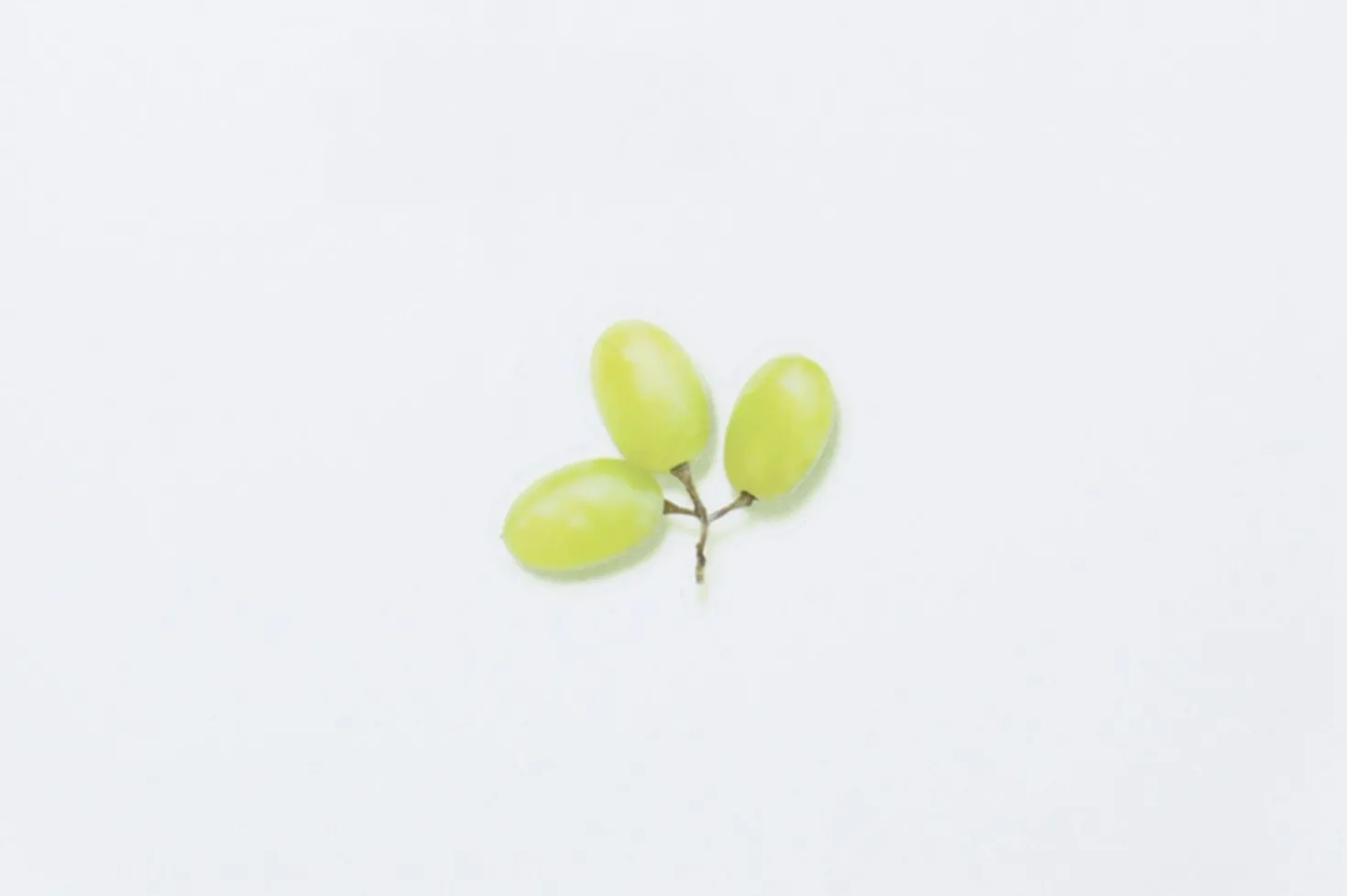 Green Grape Pressed Fruit Sticker