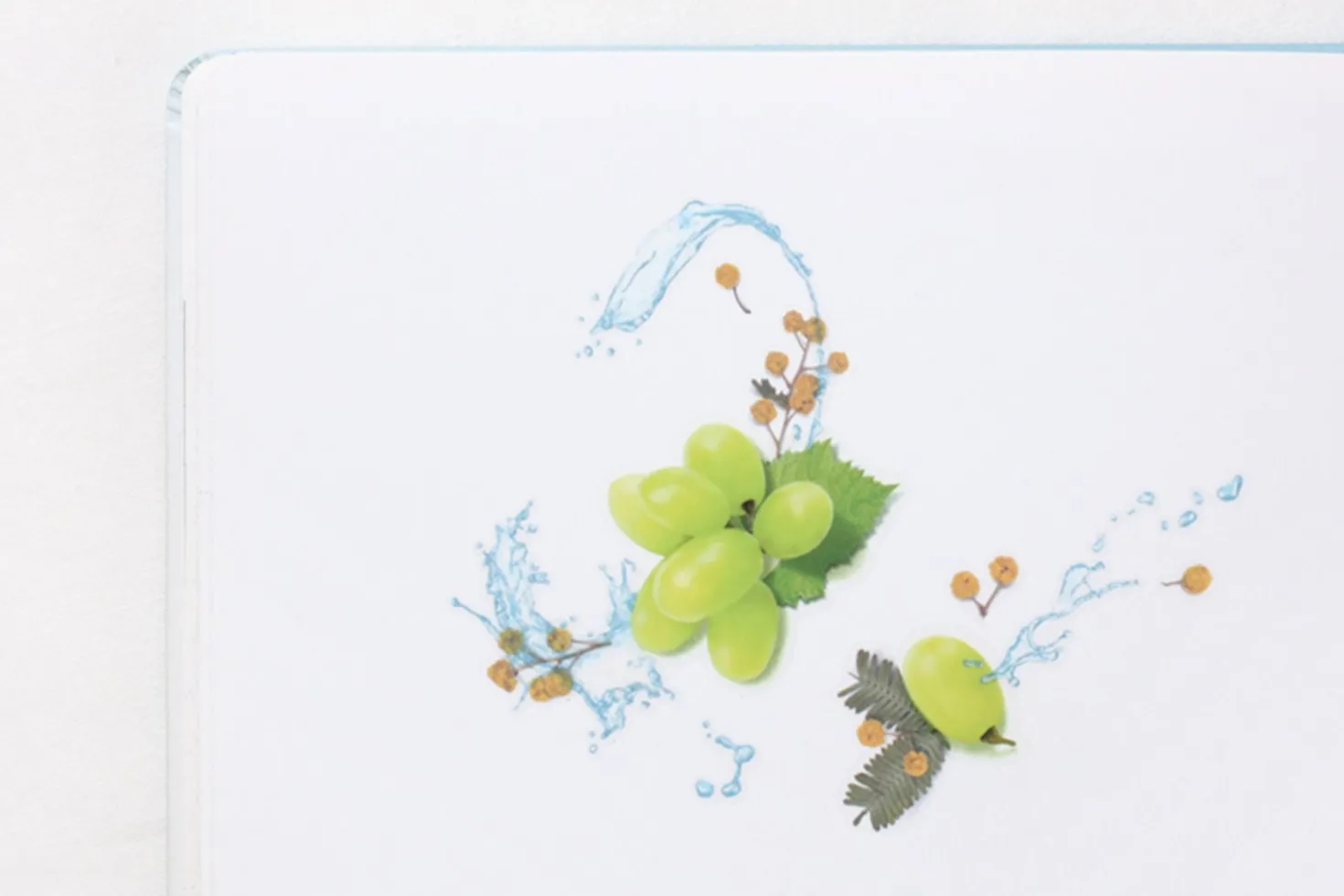 Green Grape Pressed Fruit Sticker