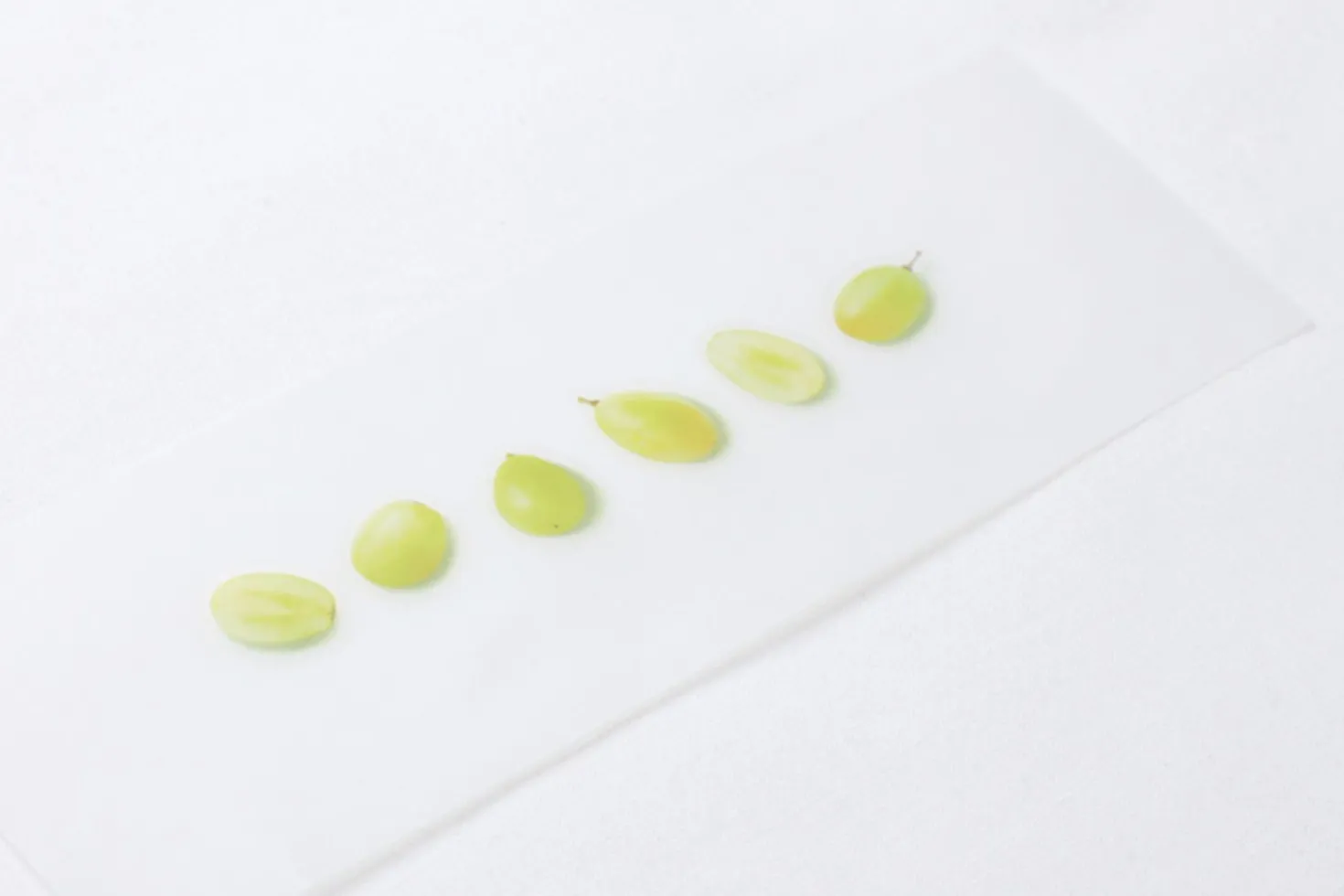 Green Grape Pressed Fruit Sticker