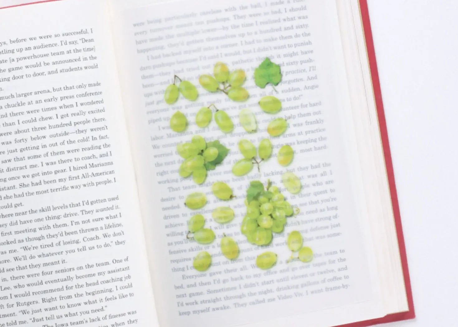 Green Grape Pressed Fruit Sticker