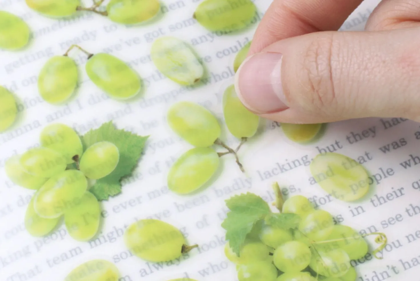 Green Grape Pressed Fruit Sticker