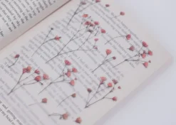 Gypsophila Pressed Flower Sticker