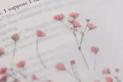 Gypsophila Pressed Flower Sticker