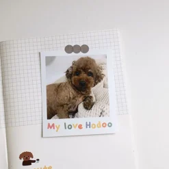 Handwriting #4 Alphabet Deco Sticker