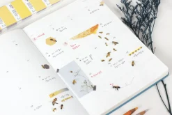 Honey Bee Nature Sticker