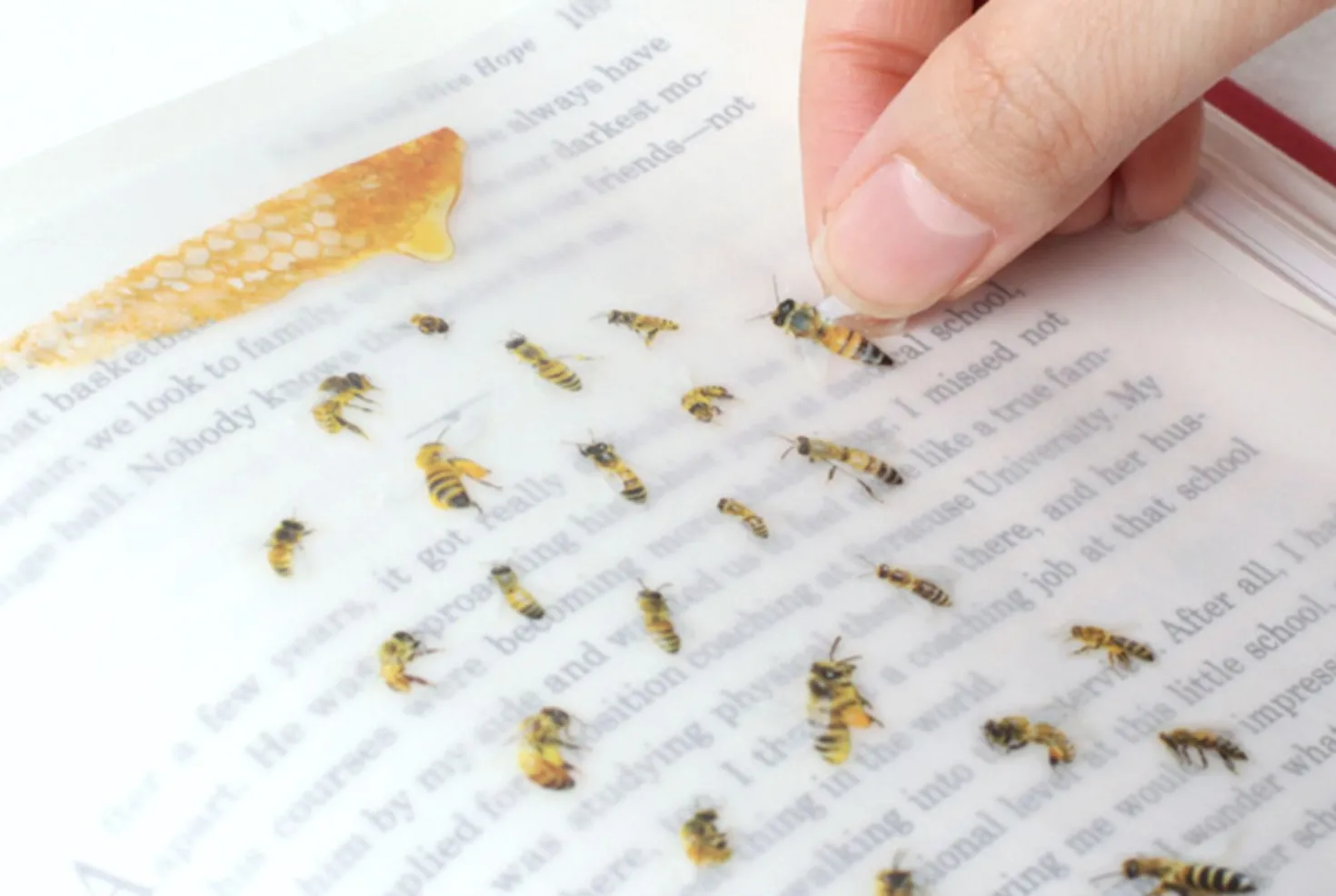 Honey Bee Nature Sticker