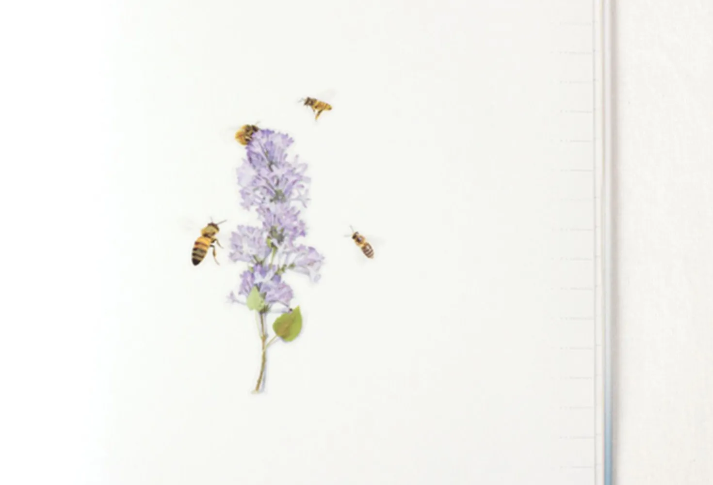 Honey Bee Nature Sticker