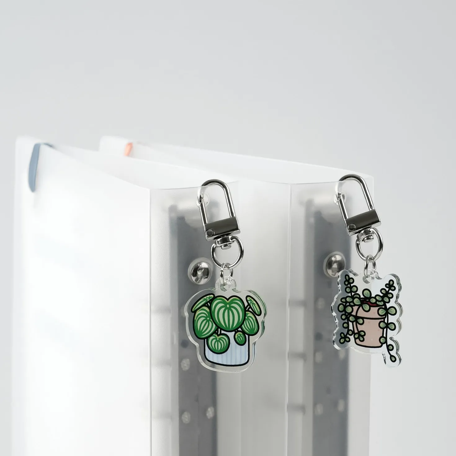 Houseplant Acrylic Key Ring
