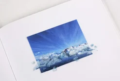 Ice Nature Sticker