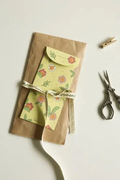 Jelly Bear Gift Envelope Set