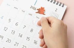 2026 Jelly Bear Standing Calendar