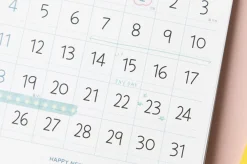 2026 Jelly Bear Standing Calendar