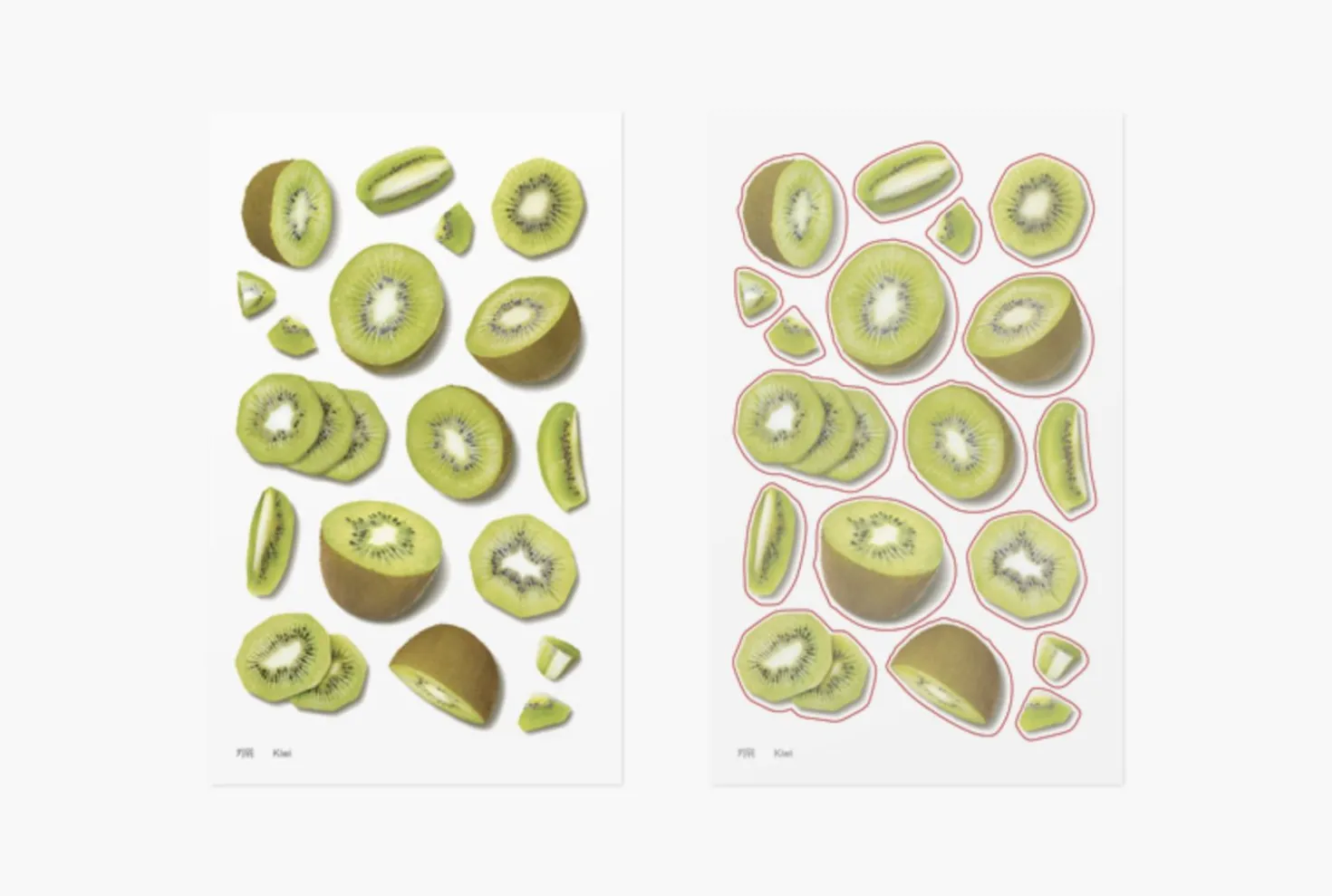 Kiwi Pressed Fruit Sticker
