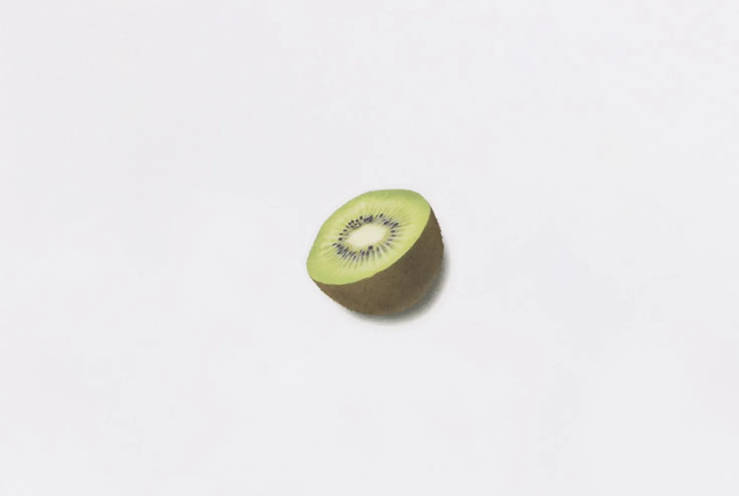 Kiwi Pressed Fruit Sticker