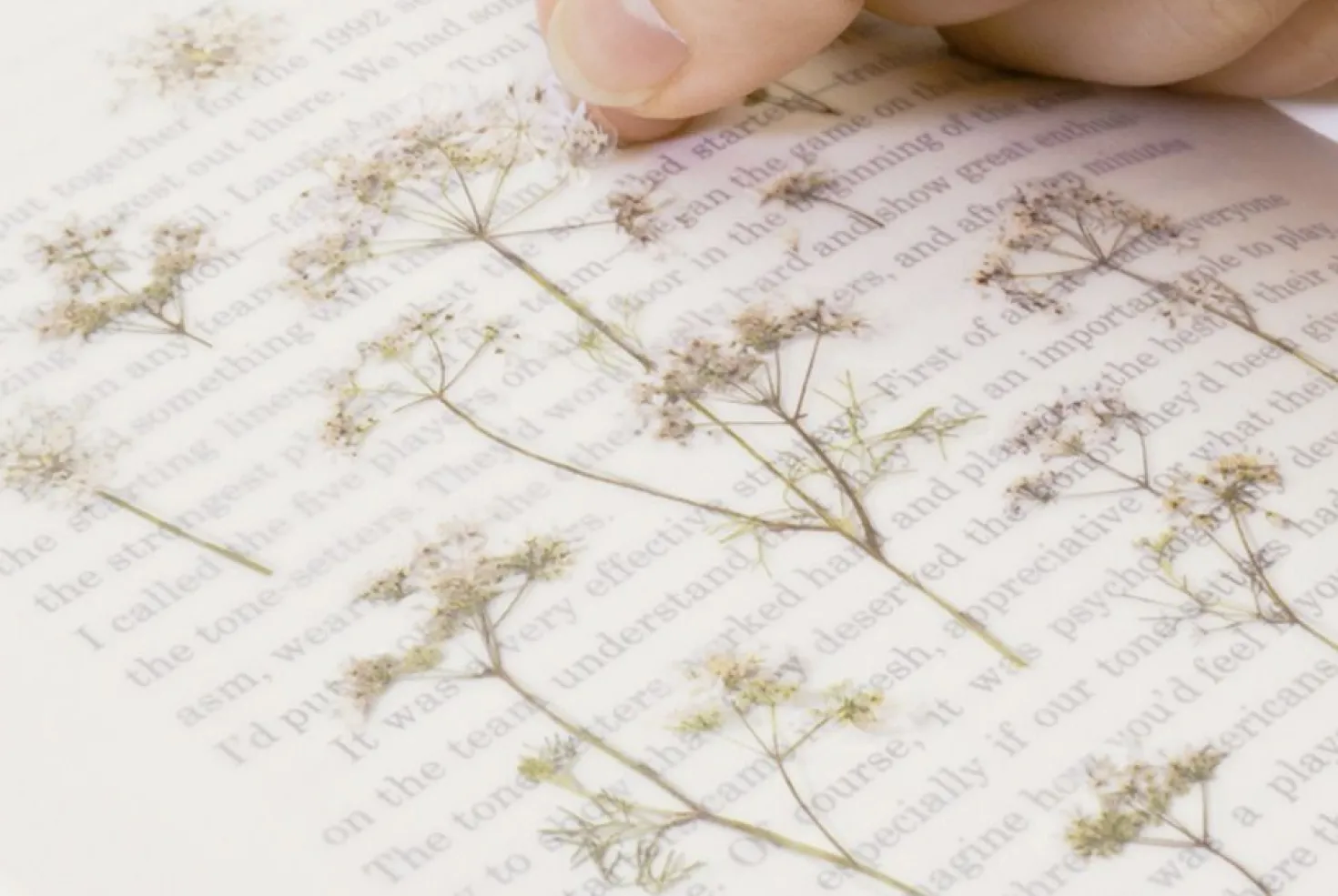 Lace Pressed Flower Sticker