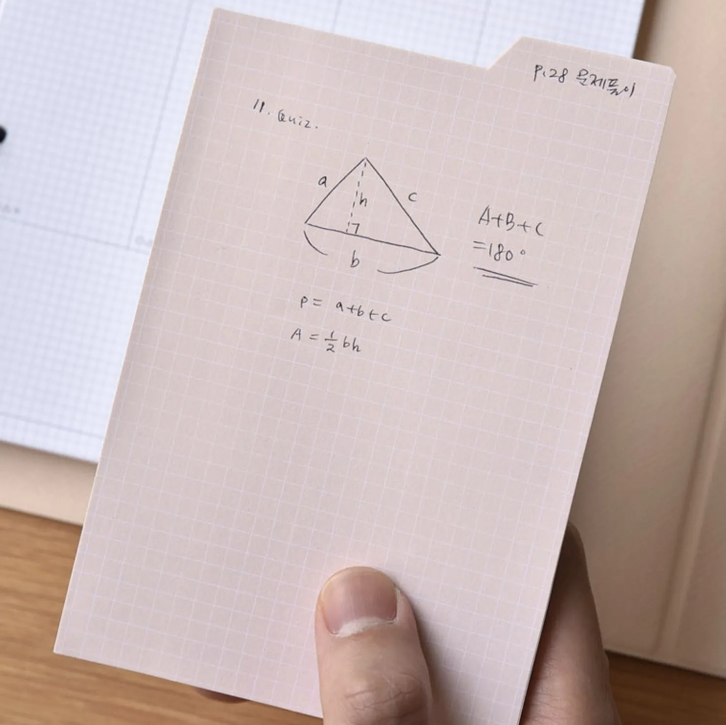 Large Basic Index Sticky Note
