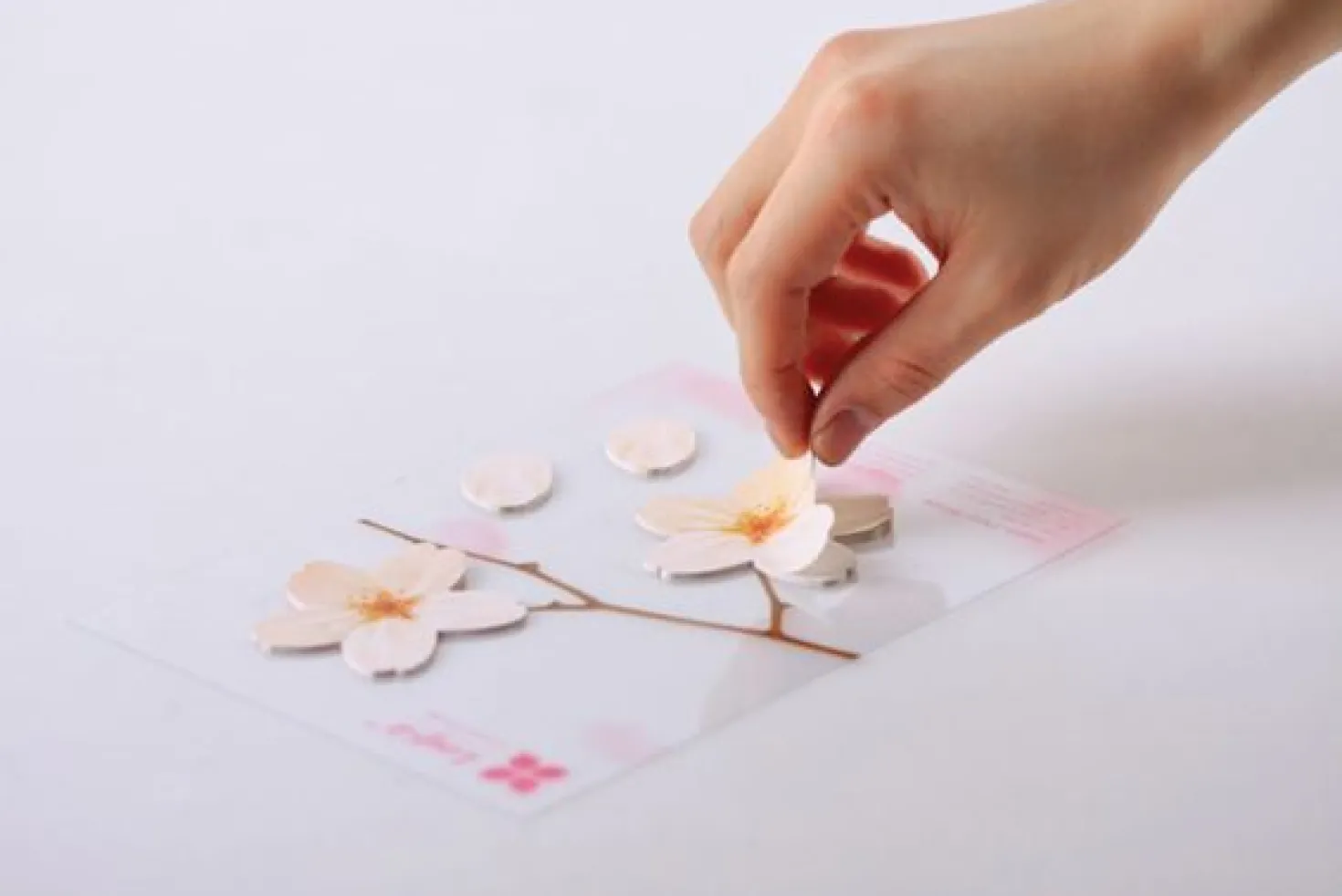 Large Cherry Blossom Sticky Note