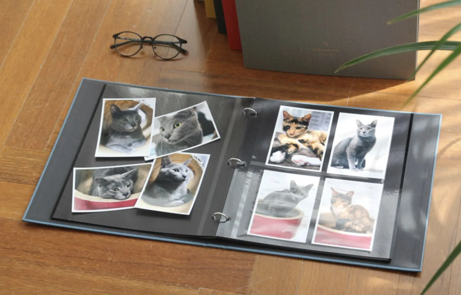 Large Daily Binder Album Refill