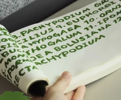 Large Elemental Drawing Book