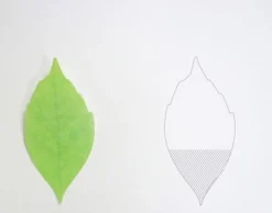 Large Leaf Sticky Note