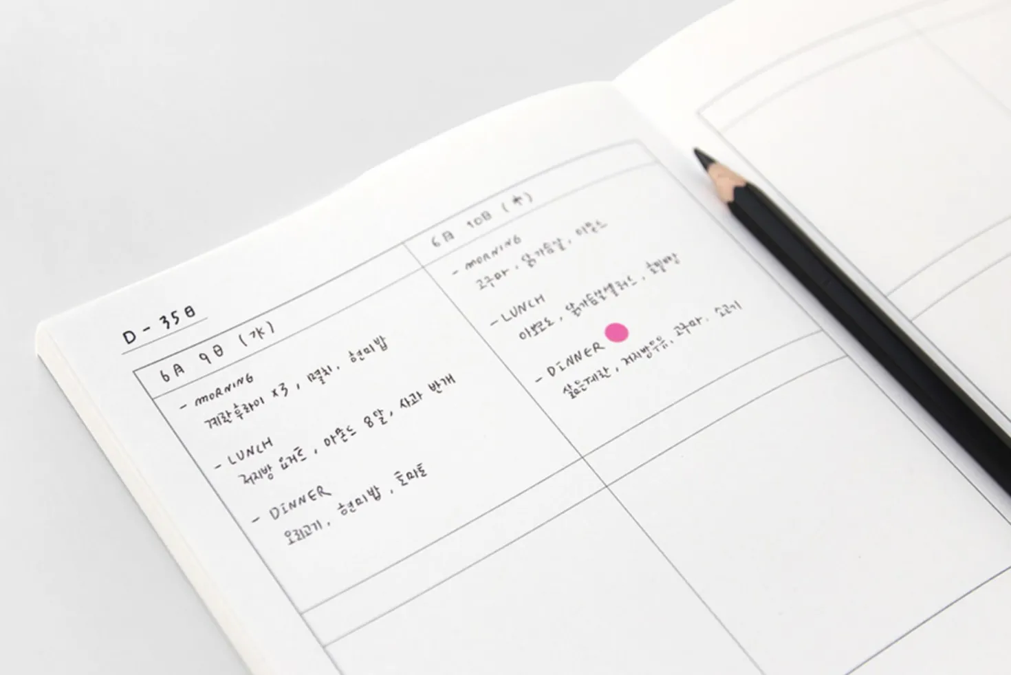 Large 8 Steps Notebook