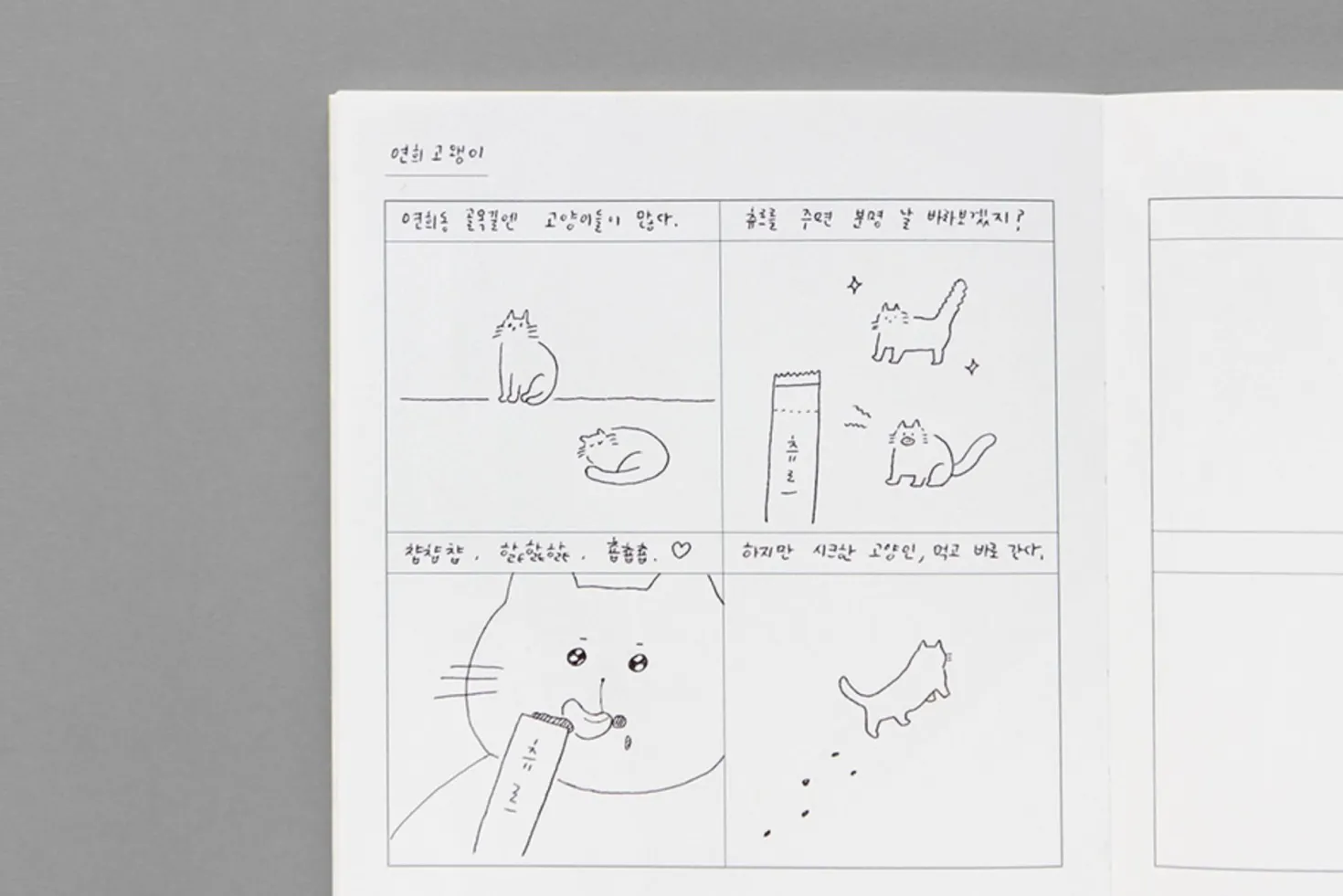 Large 8 Steps Notebook