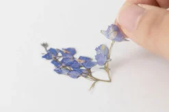 Larkspur Pressed Flower Sticker
