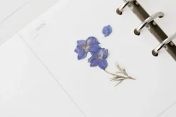 Larkspur Pressed Flower Sticker