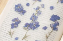 Larkspur Pressed Flower Sticker