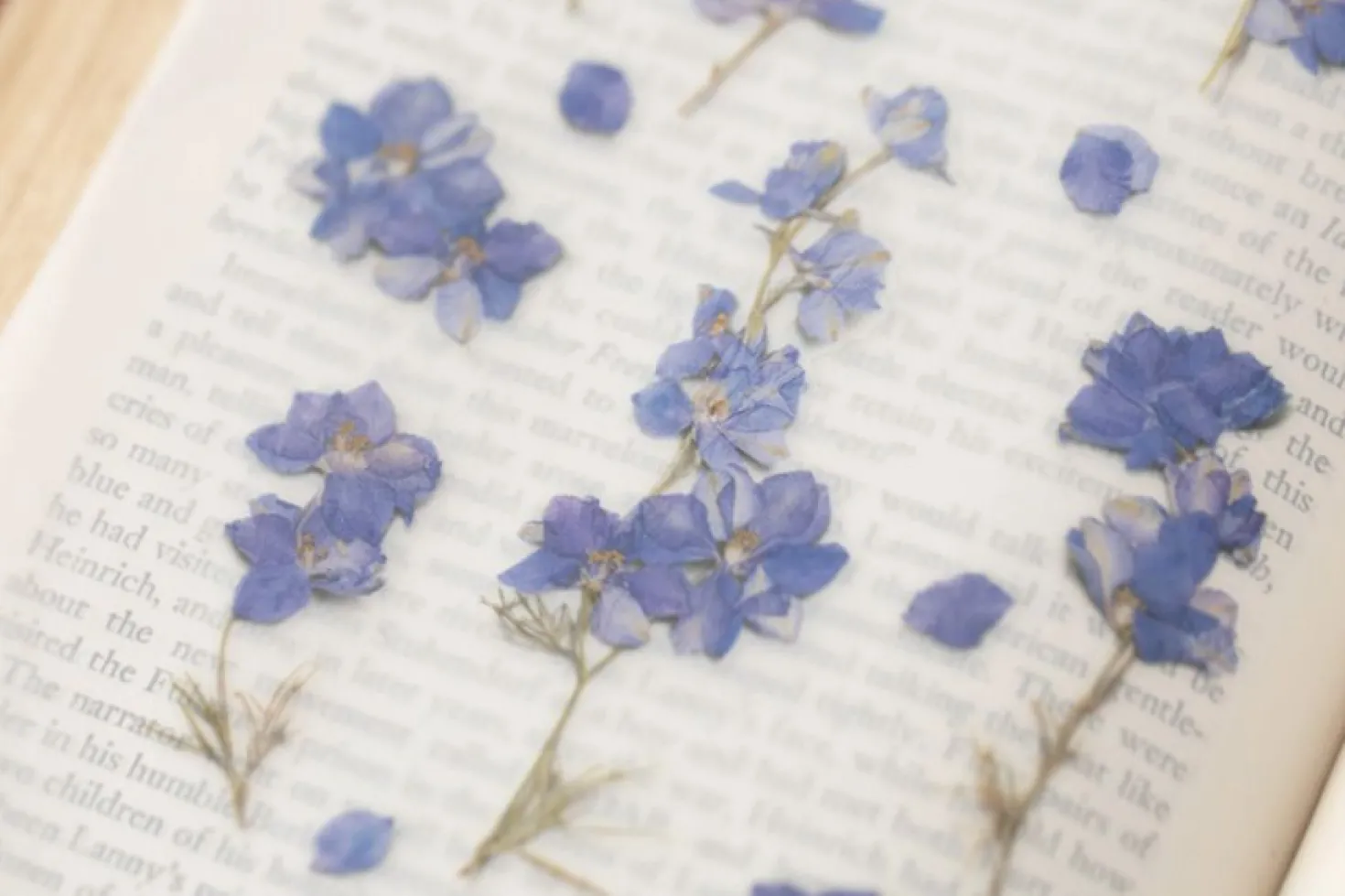 Larkspur Pressed Flower Sticker