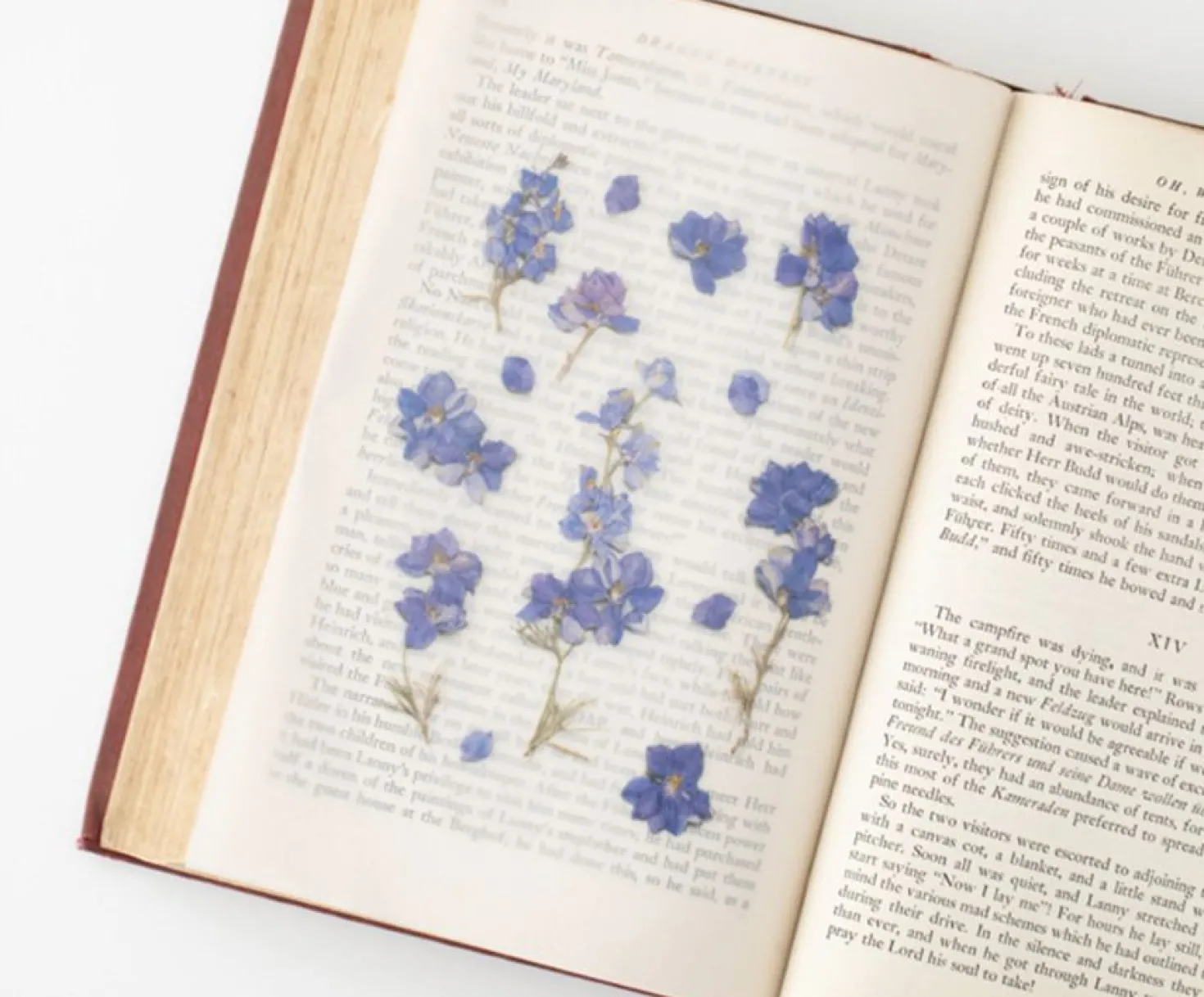 Larkspur Pressed Flower Sticker