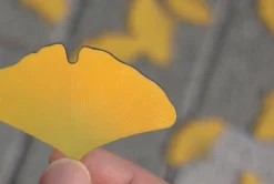 Leaf Magnet Set