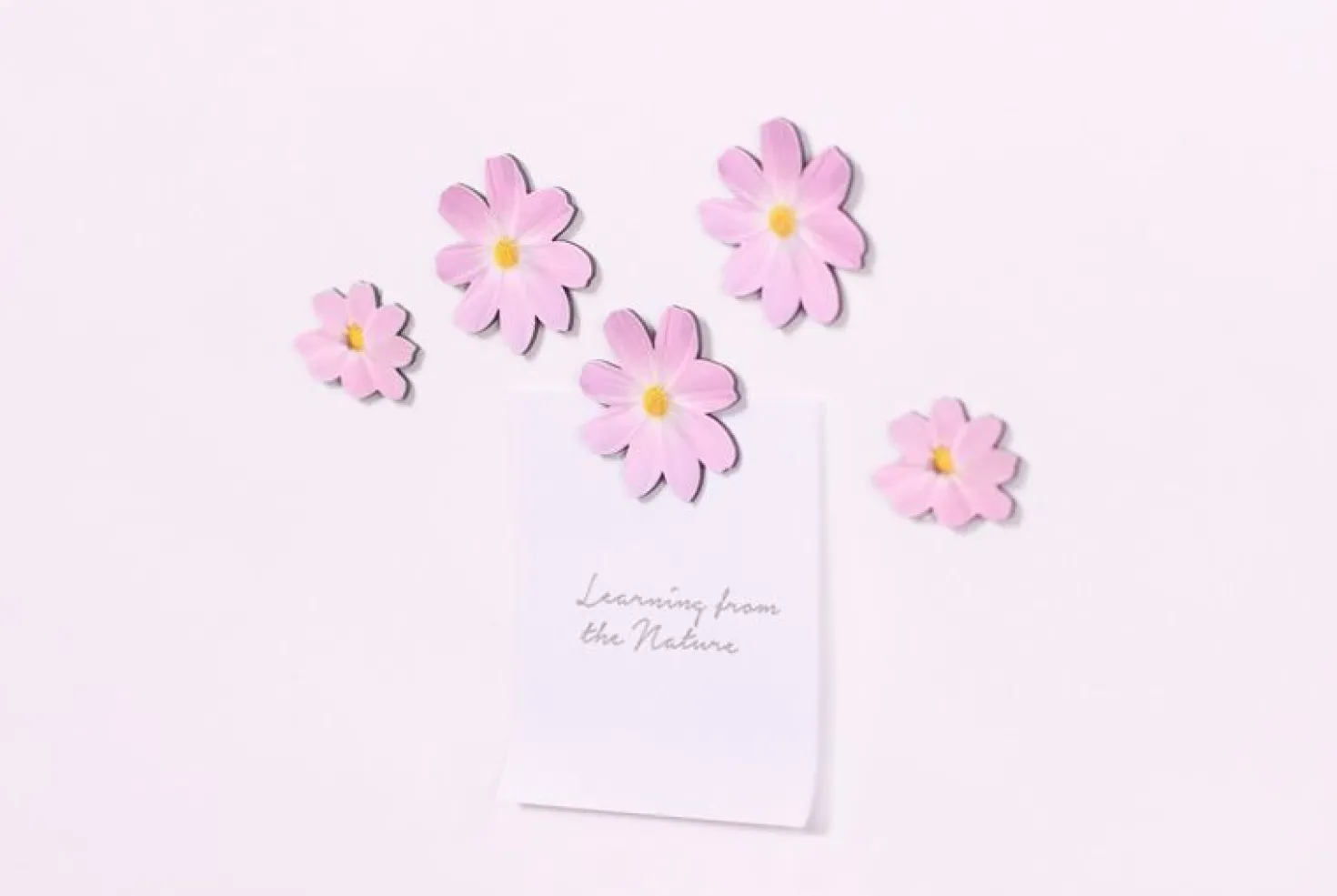 Leaf Magnet Set