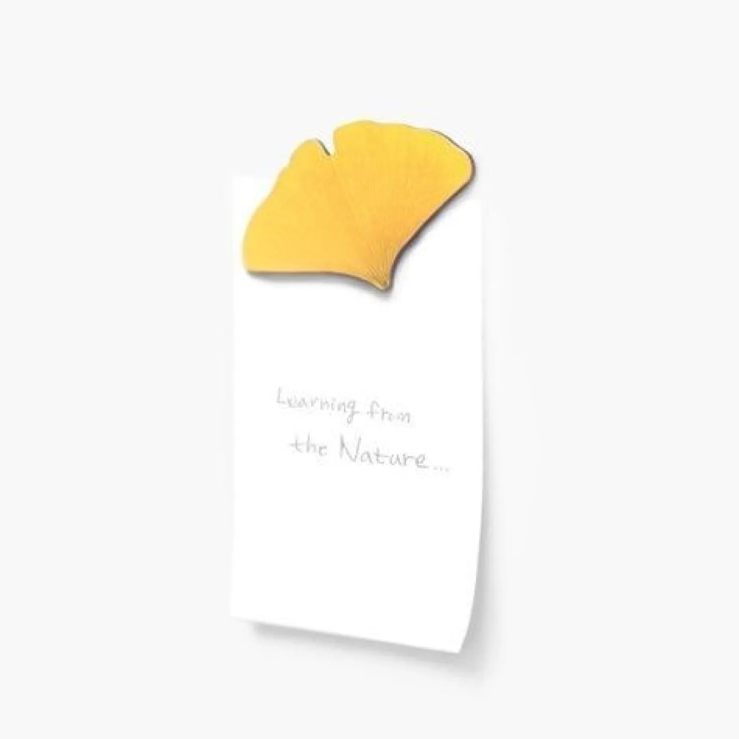 Leaf Magnet Set