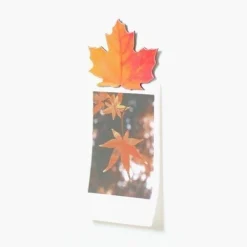 Leaf Magnet Set
