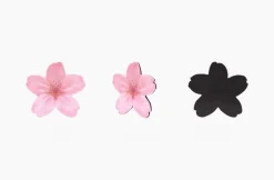 Leaf Magnet Set