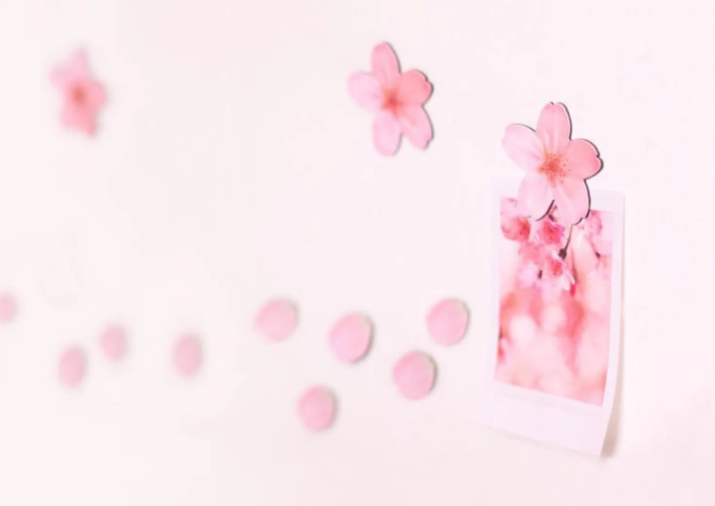 Leaf Magnet Set