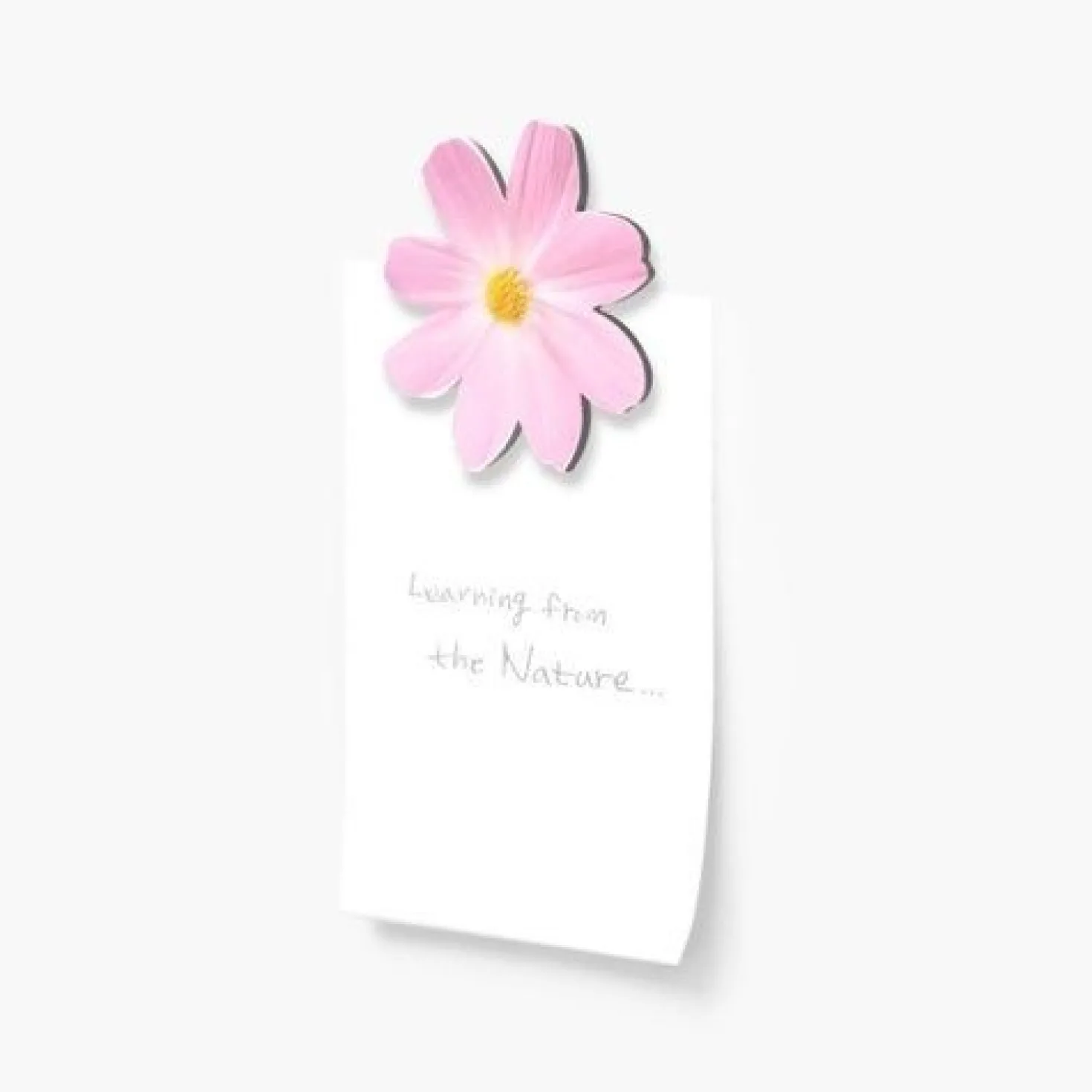 Leaf Magnet Set