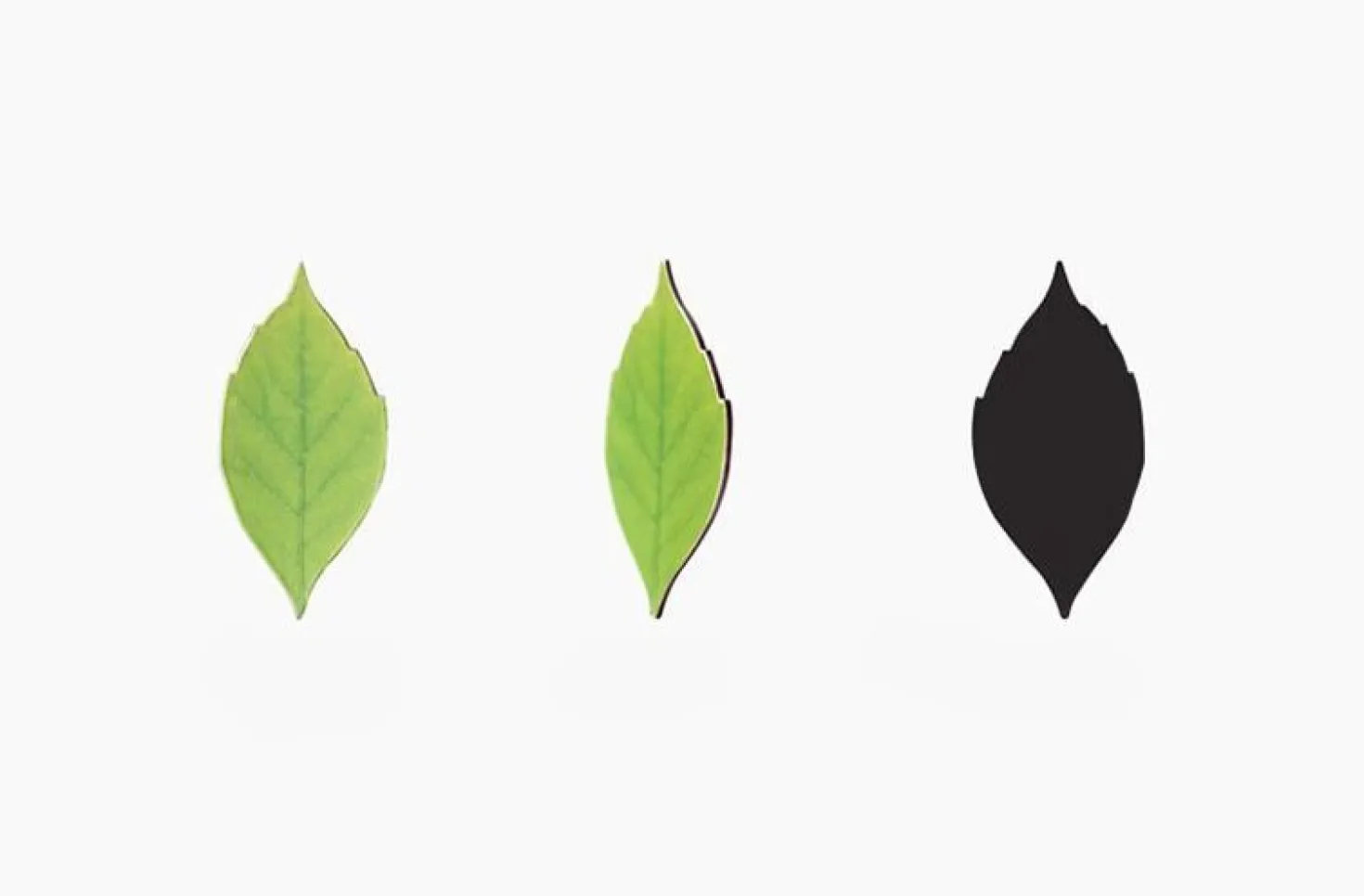 Leaf Magnet Set